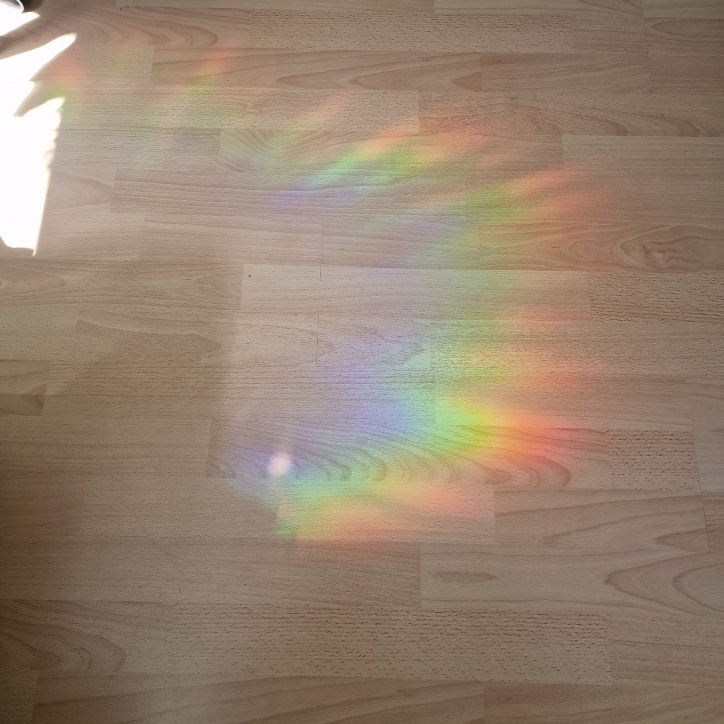 Window sticker sun catcher motif cat I rainbow foil reusable window sticker