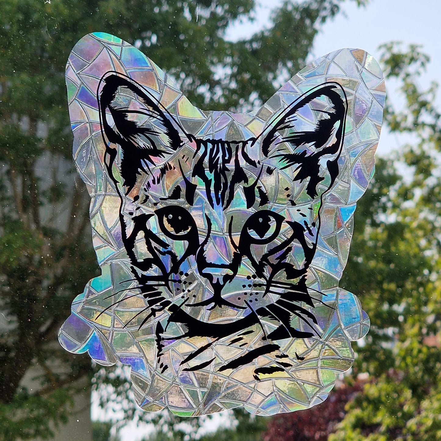 Window sticker sun catcher motif cat breed I rainbow foil reusable window sticker