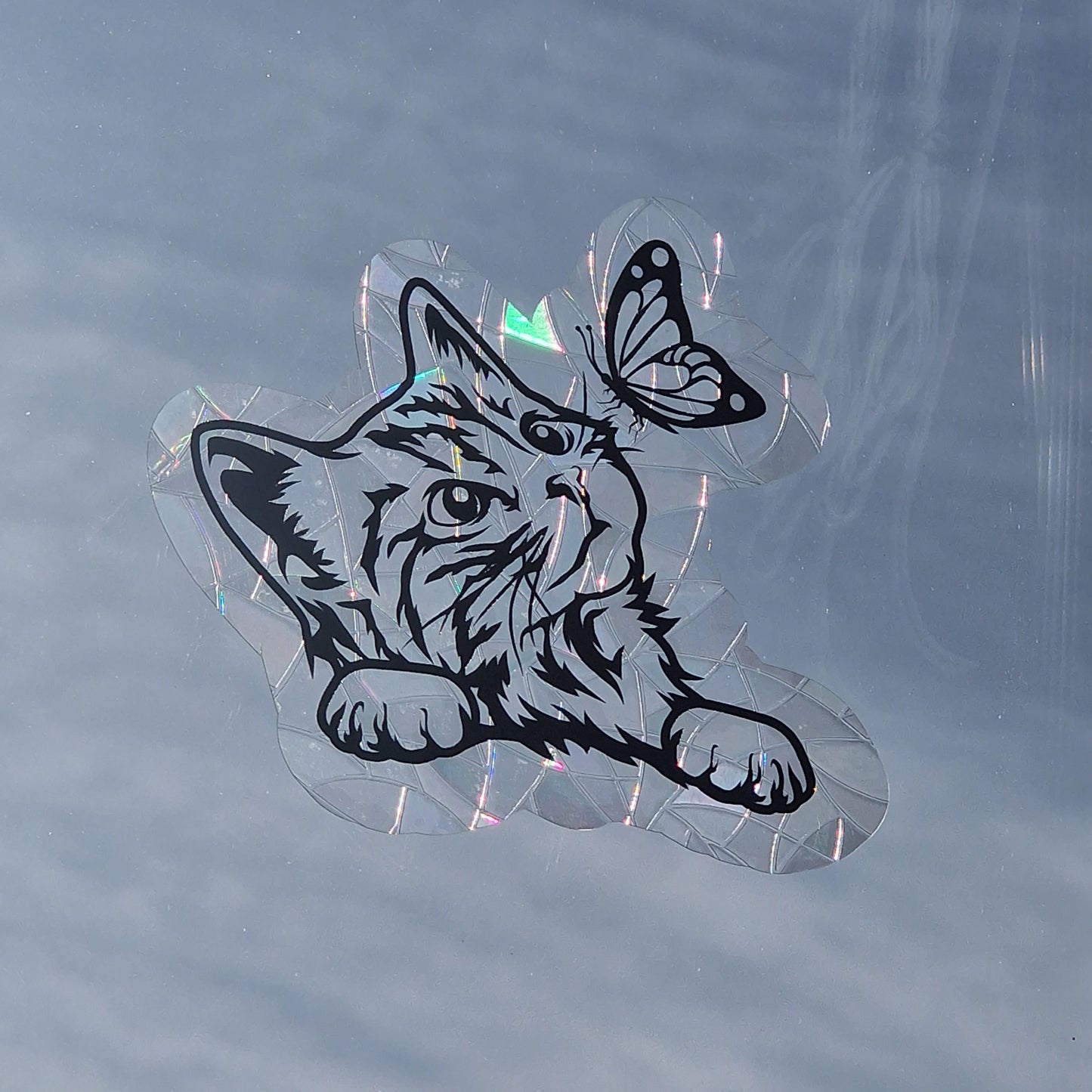 Window sticker sun catcher motif cat I rainbow foil reusable window sticker