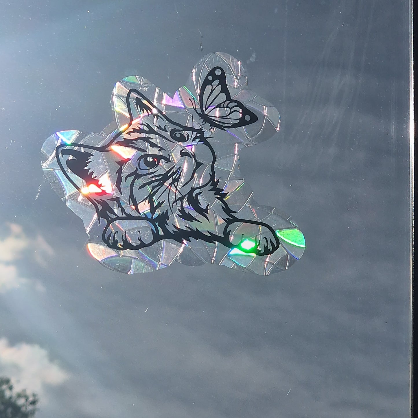 Window sticker sun catcher motif cat I rainbow foil reusable window sticker