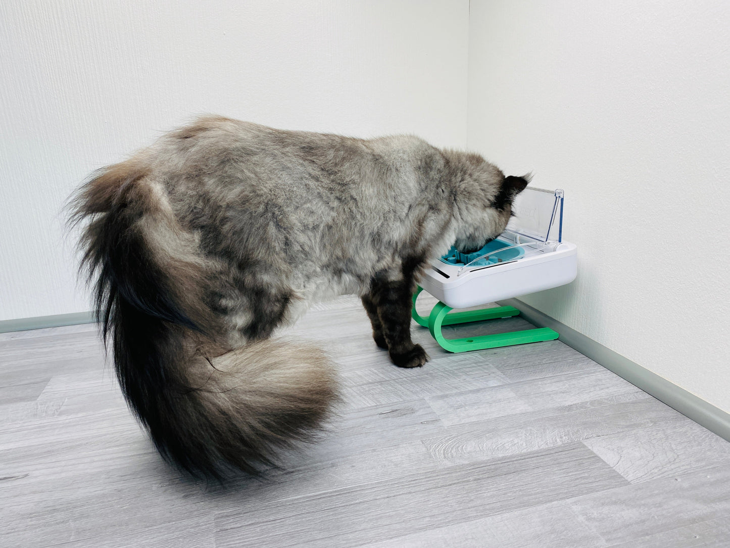 Ständer für SureFeed® luftdichte Futterschale +9cm 2te Wahl - slofe3d