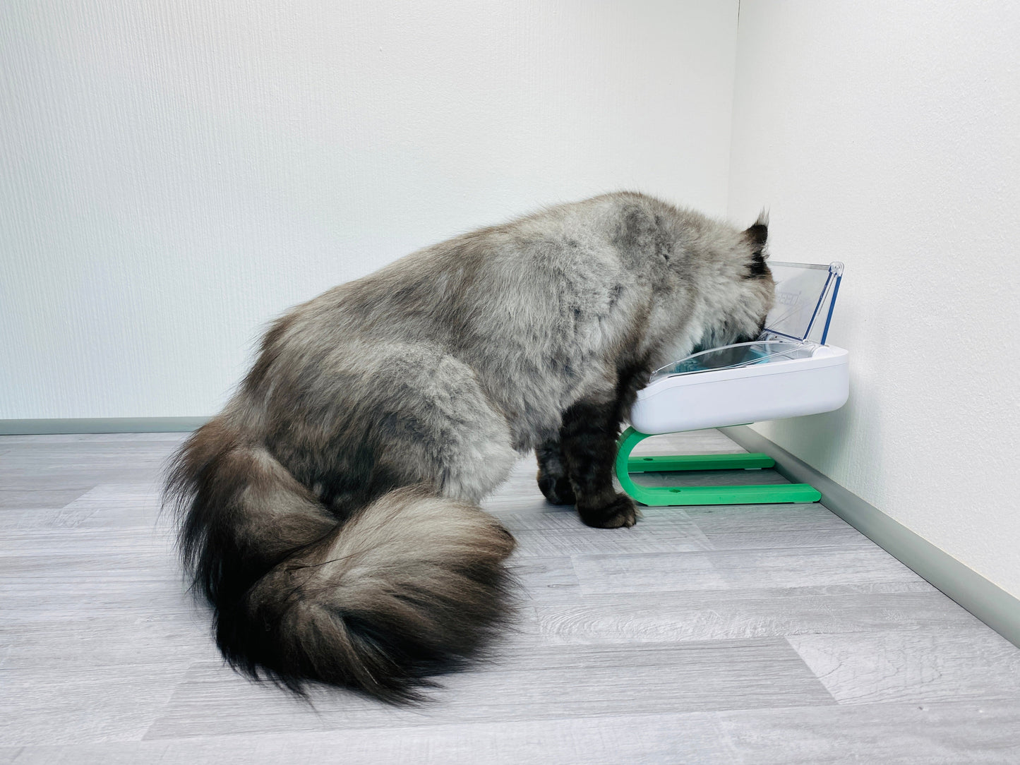 Ständer für SureFeed® luftdichte Futterschale +9cm 2te Wahl - slofe3d