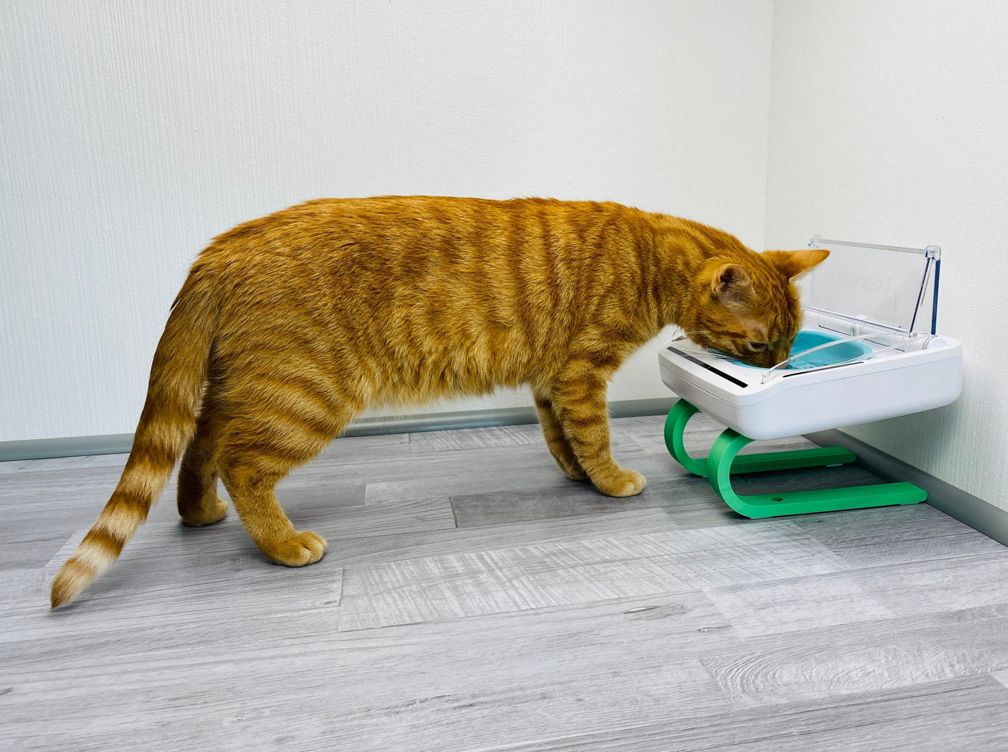 Ständer für SureFeed® luftdichte Futterschale +9cm 2te Wahl - slofe3d