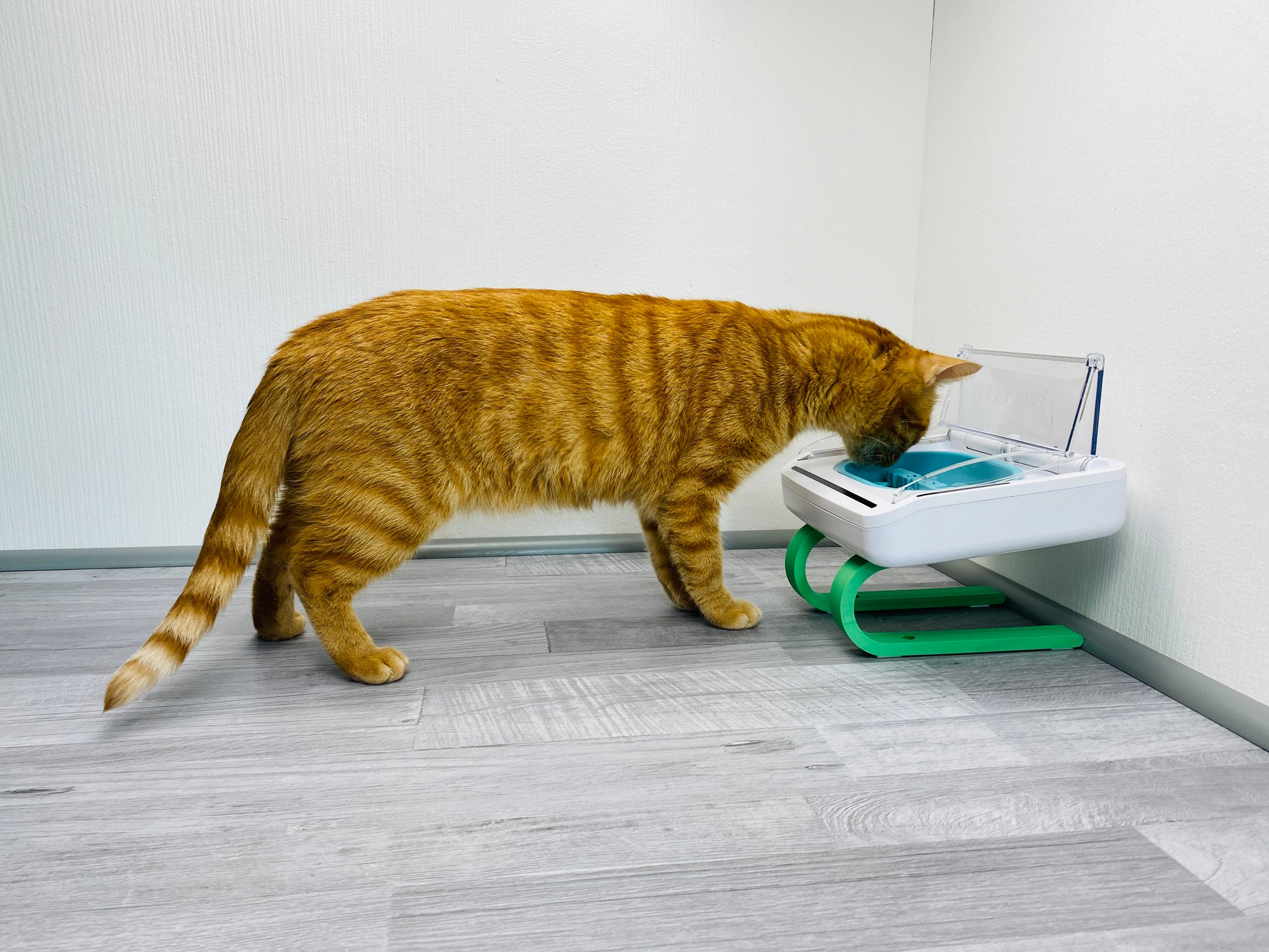 Ständer für SureFeed® luftdichte Futterschale +9cm - slofe3d