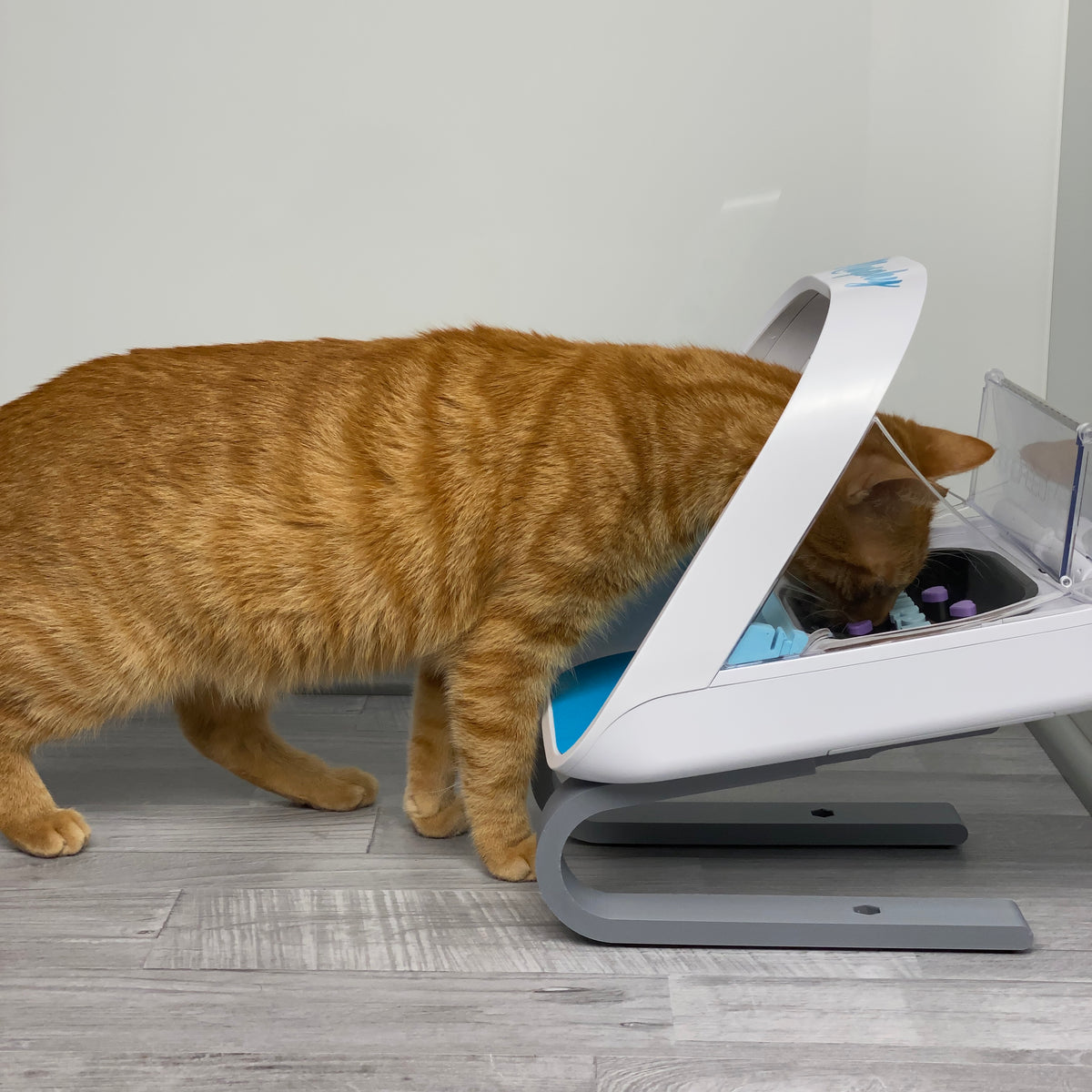 9 cm stand for SureFeed® Microchip Pet Feeder | 3D-printed – SLOFE3D