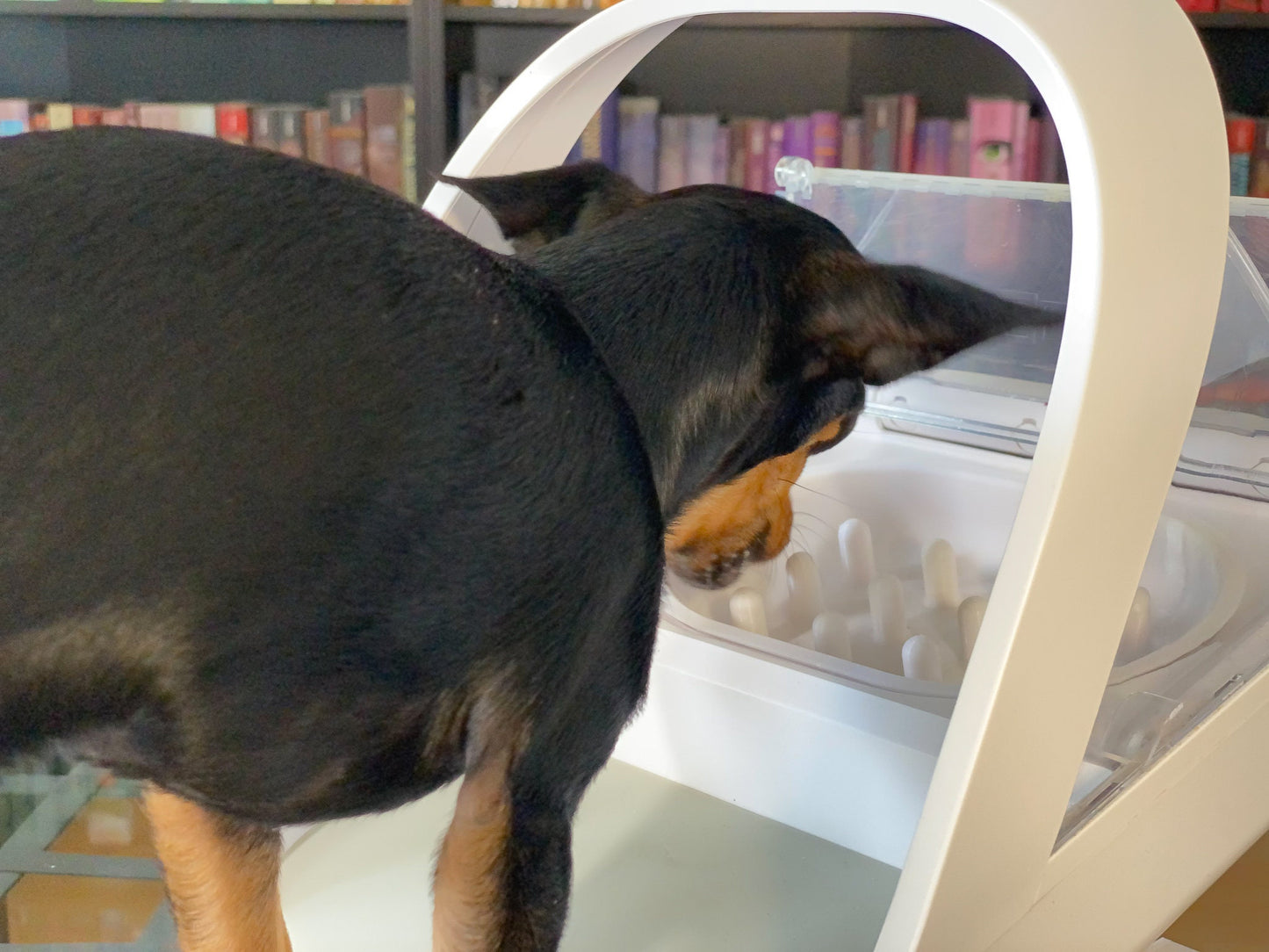 Slowfeed Antischling Futternapf für SureFeed®Futterautomaten - slofe3d