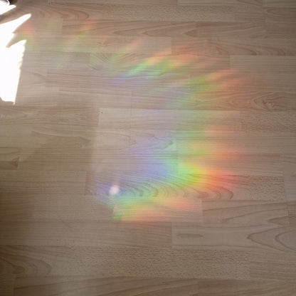 Bird suncatcher window sticker | Reusable rainbow film