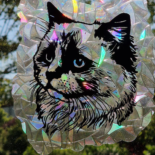 Window sticker sun catcher motif cat breed I rainbow foil reusable window sticker