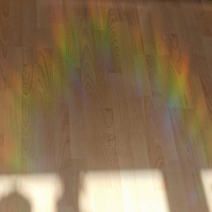 Bird suncatcher window sticker | Reusable rainbow film