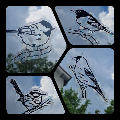 Bird suncatcher window sticker | Reusable rainbow film