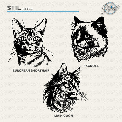 Cat-breed suncatcher window sticker | Reusable rainbow film