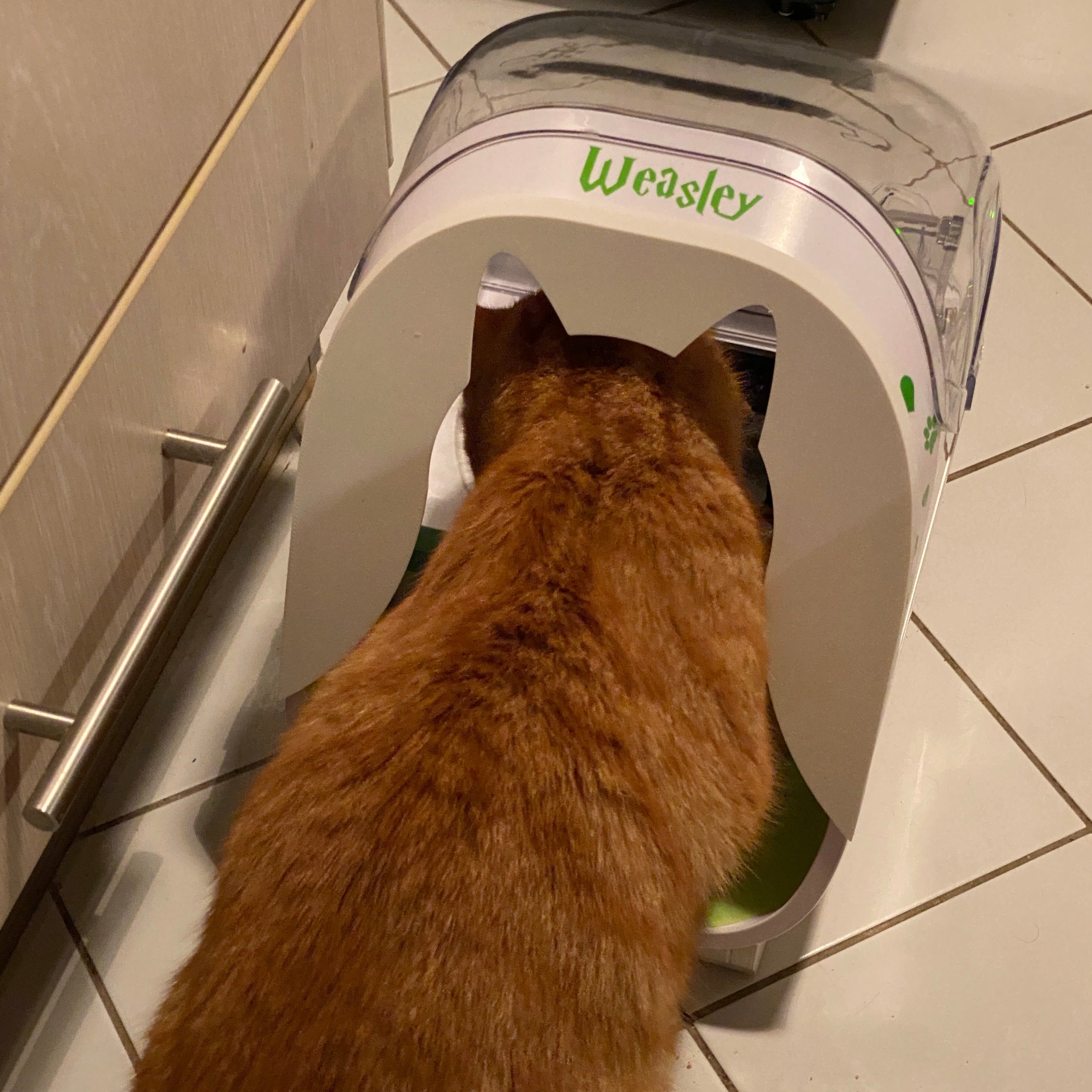 Cat feeder microchip hotsell