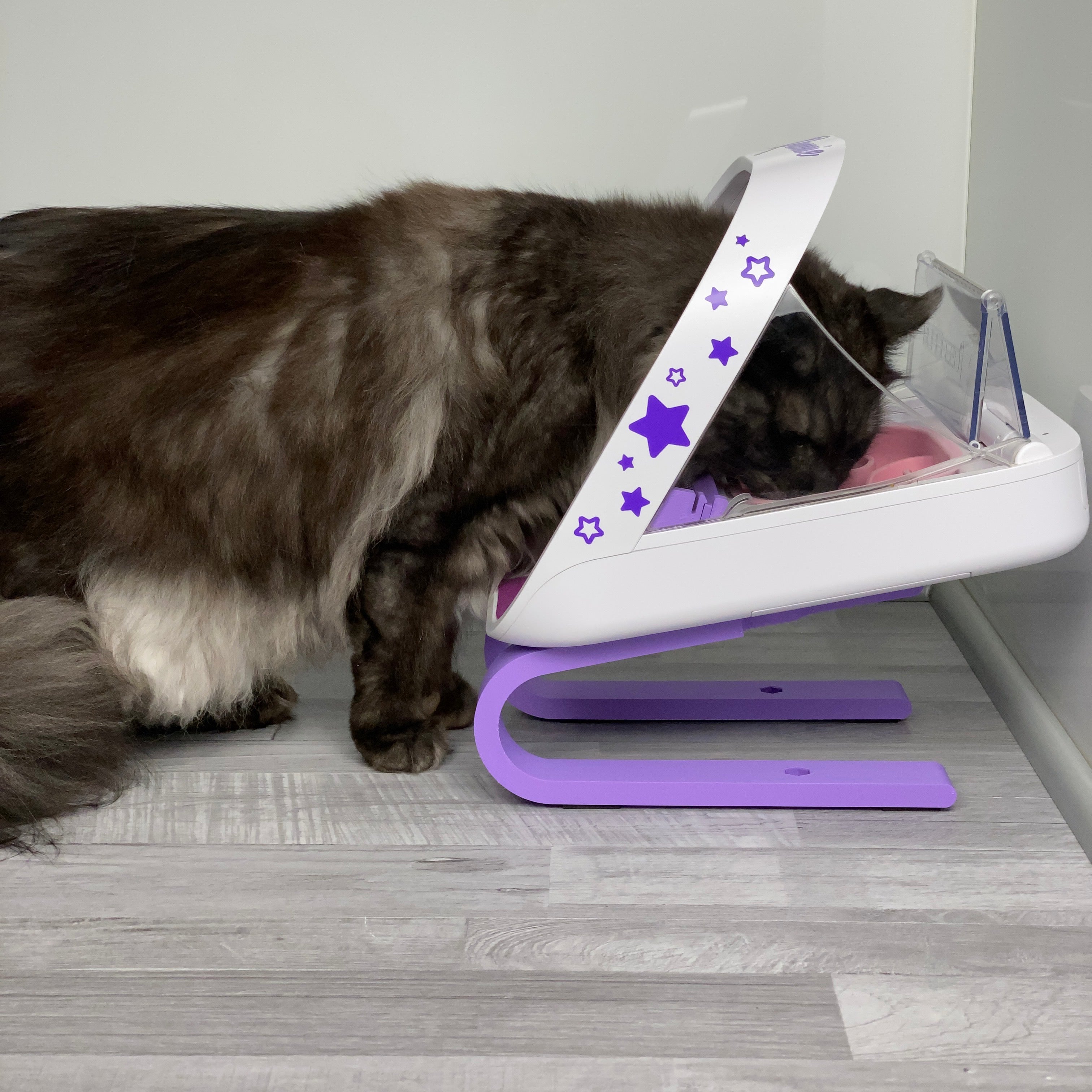 Feriva Verstellbarer Ständer Für Microchip Futterautomat - Ergonomischer Katzenfutterständer