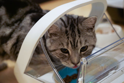 SureFeed® Microchip Pet Feeder – SLOFE3D