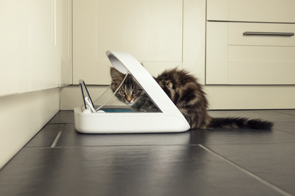 SureFeed® Microchip Pet Feeder – SLOFE3D