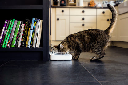 SureFeed® Sealed Pet Bowl – SLOFE3D