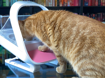 Adjustable stand for SureFeed® Microchip Pet Feeder | 3D-printed – SLOFE3D