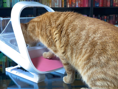 Adjustable stand for SureFeed® pet feeder | Seconds – SLOFE3D