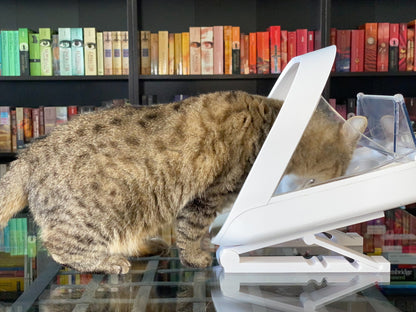 Adjustable stand for SureFeed® Microchip Pet Feeder | 3D-printed – SLOFE3D